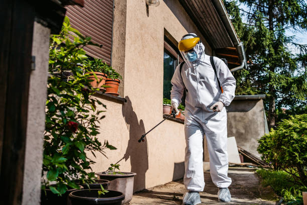 Professional Pest Control in Gold River, CA