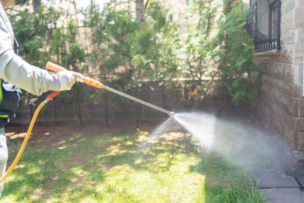 Best Pest Control Cost  in Gold River, CA
