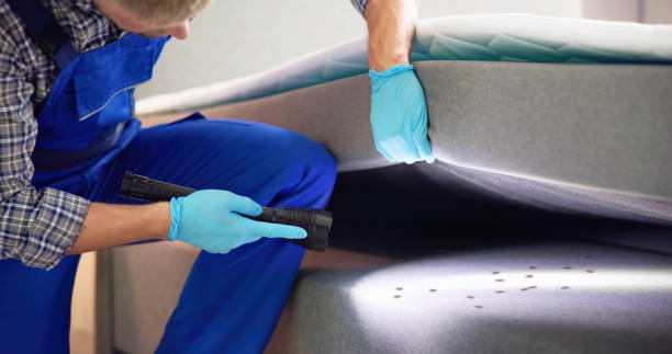 Best Rat Extermination Near Me  in Gold River, CA